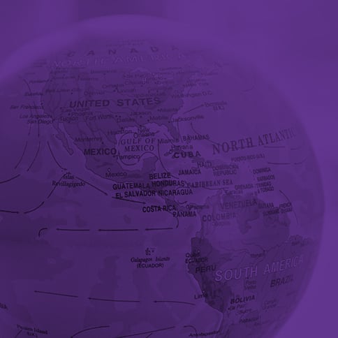 Globe-purple-sq