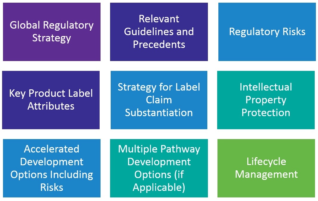 reverse-engineering-your-regulatory-strategy-for-more-efficient-product